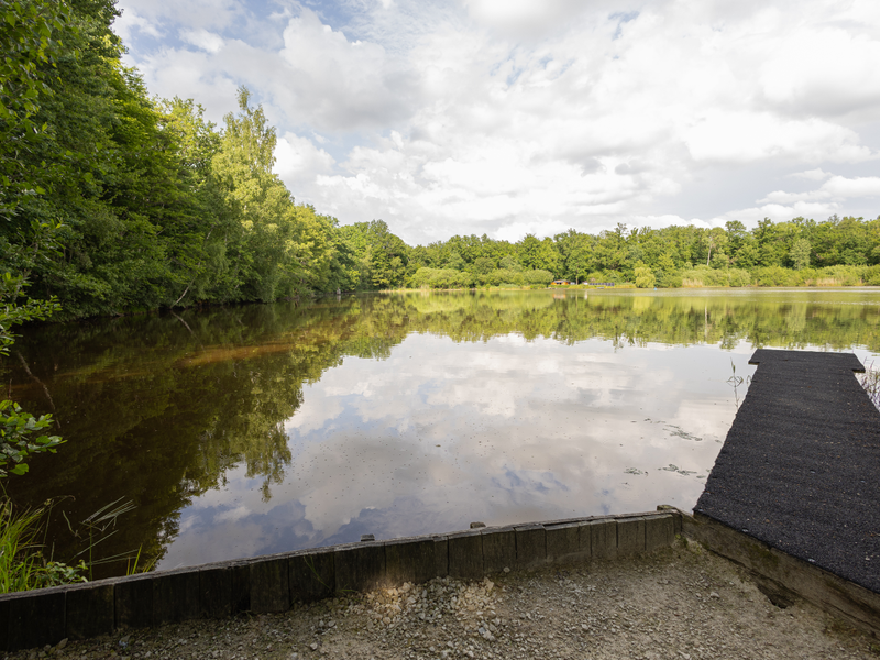 Kingfishers Swim View