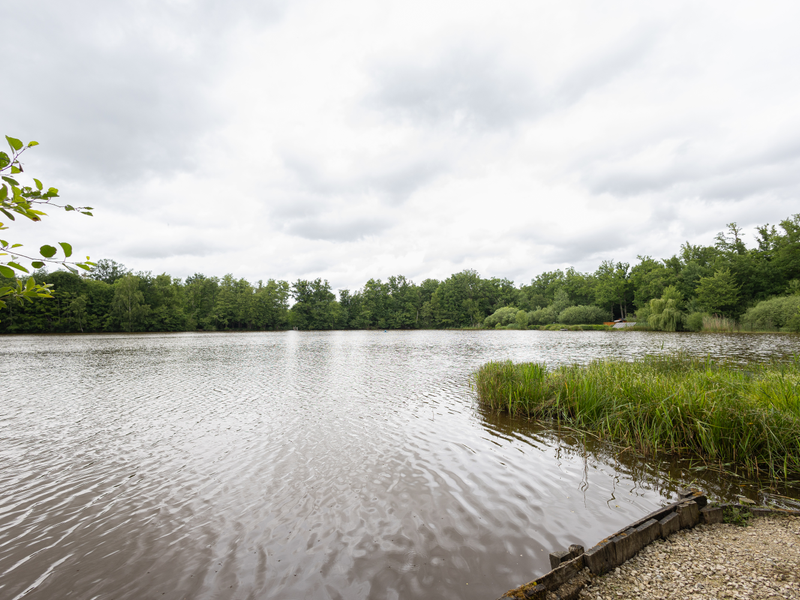 Swifts Swim View