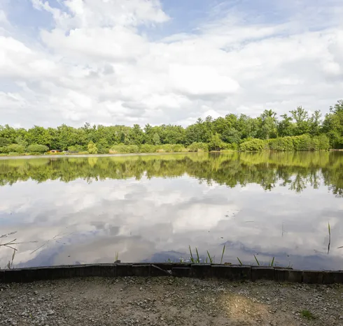 The Lake