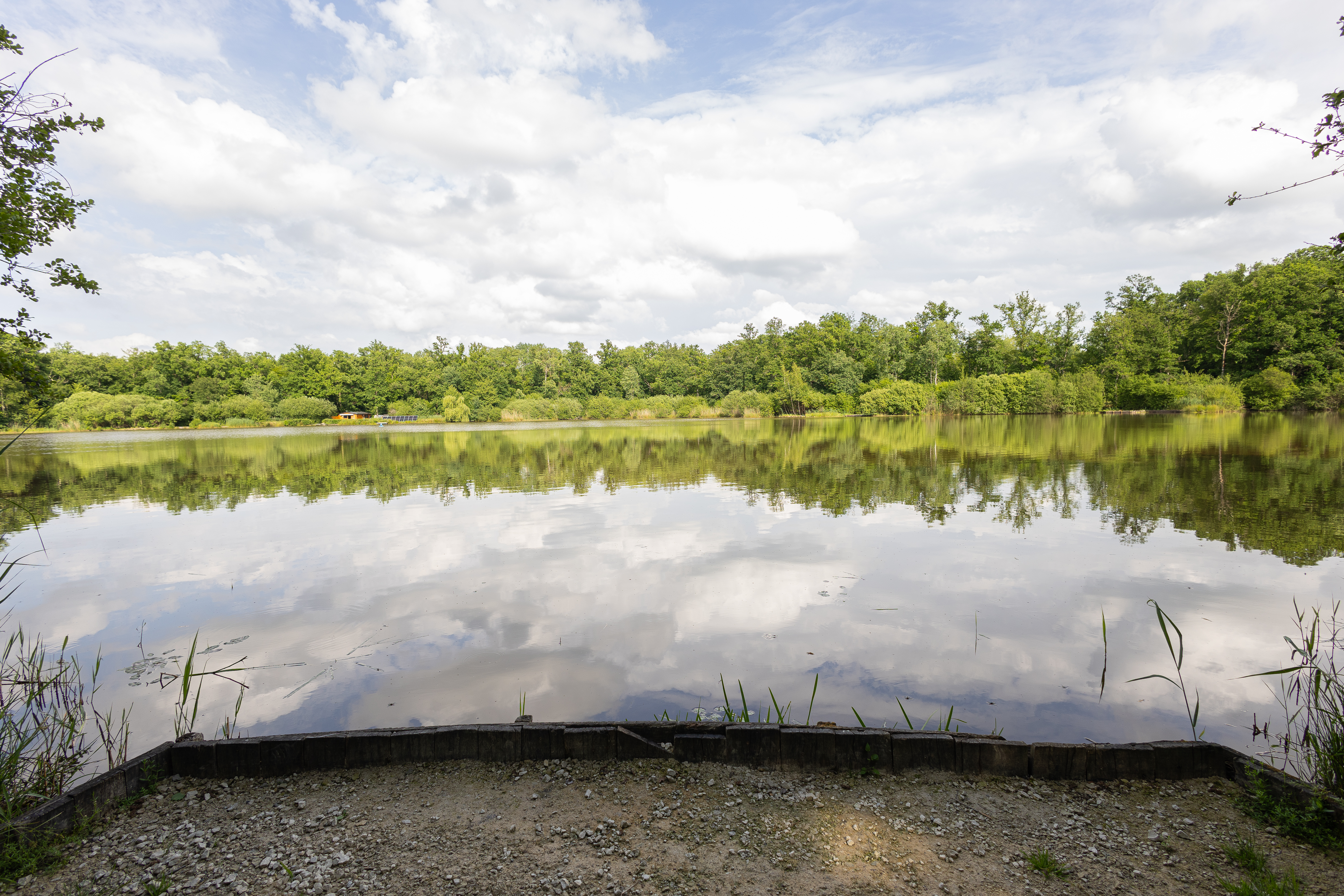 The Lake