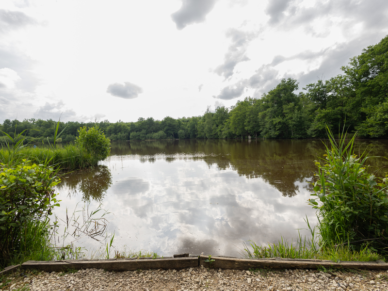 Robins Swim View