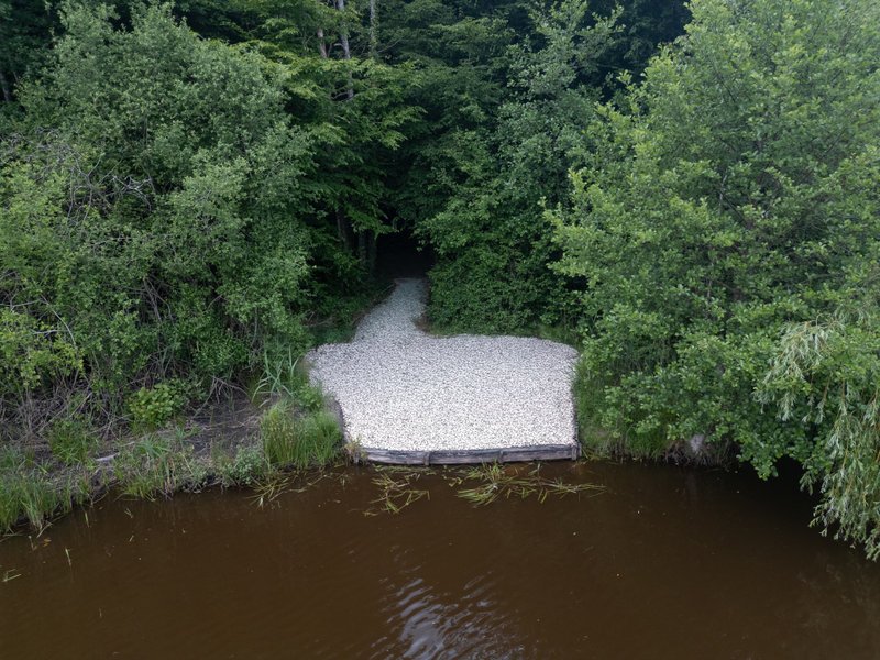 Storks Drone View