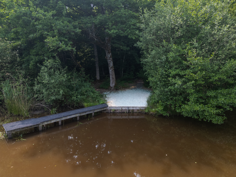 Kingfishers Drone View