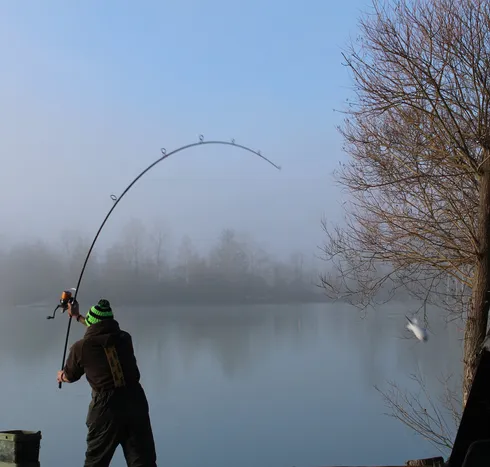 The Fish