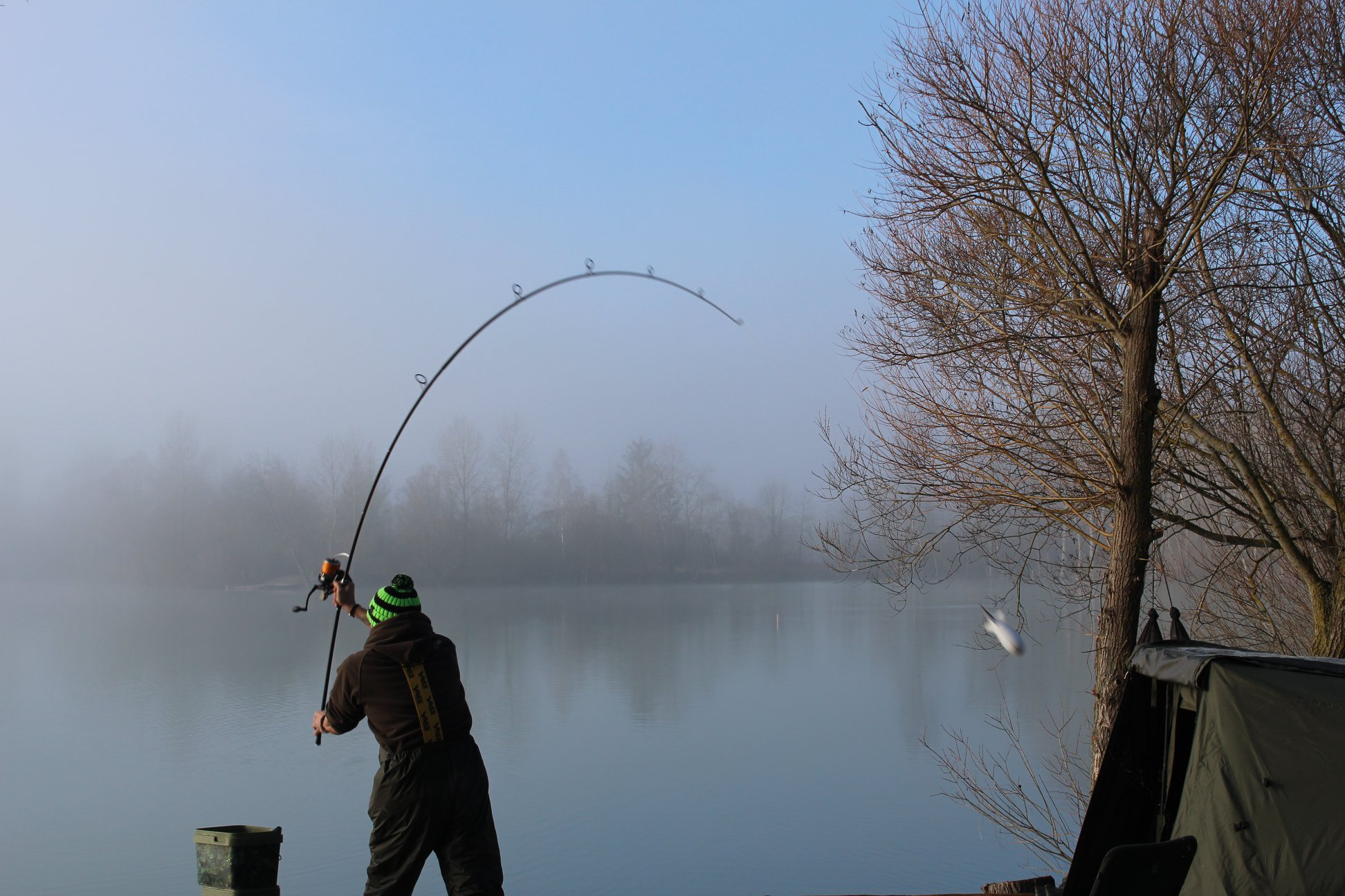 The Fish