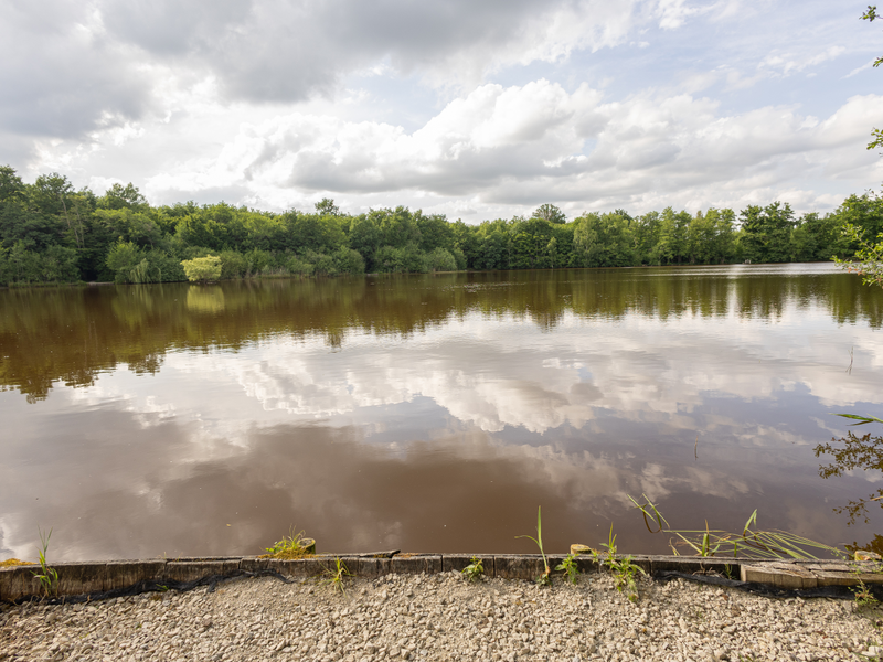 Kestrels Swim View